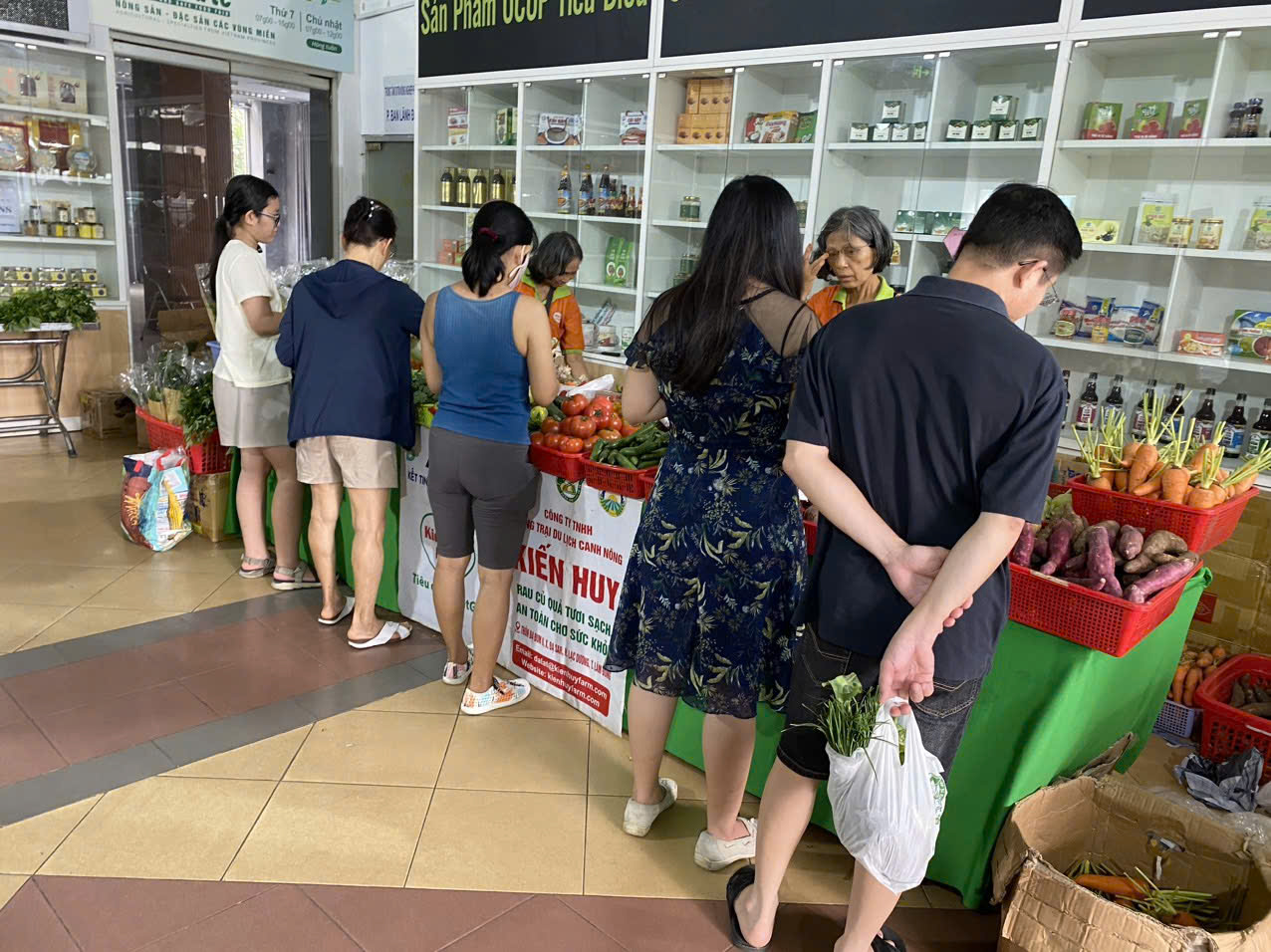 cung cấp rau củ quả tươi sạch